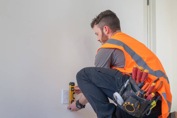 Best Electric Panel Repair  in Carleton, MI