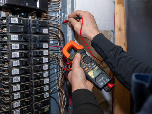 Best Licensed Electrician  in Carleton, MI